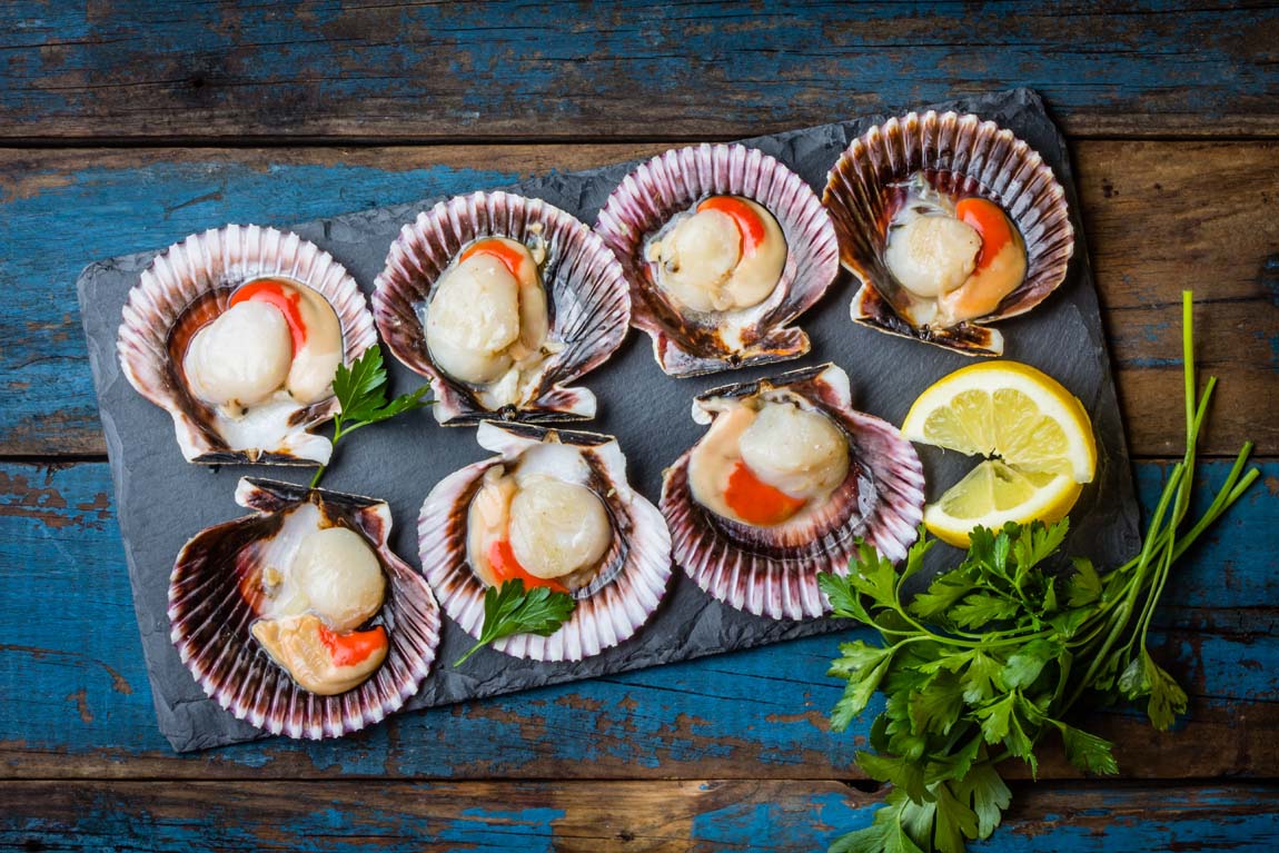 Морской гребешок
