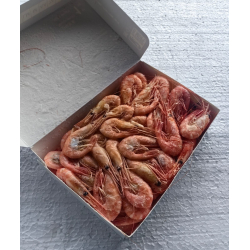 Креветка северная 70/90 в/м