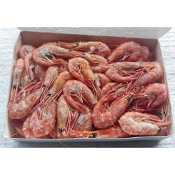 Креветка северная 70/90 в/м