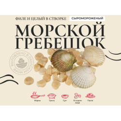 Гребешок (Витязь) морской в створках