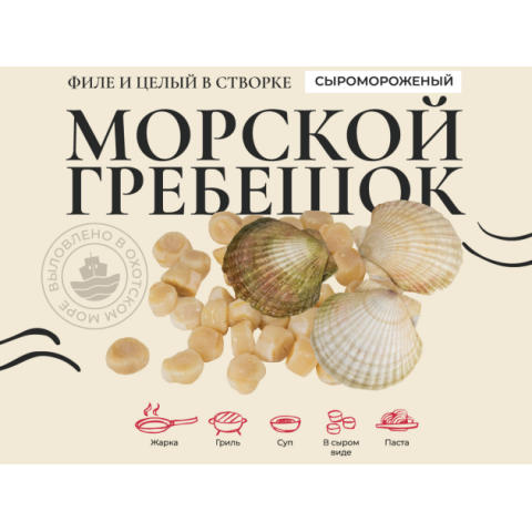 Гребешок (Витязь) морской в створках