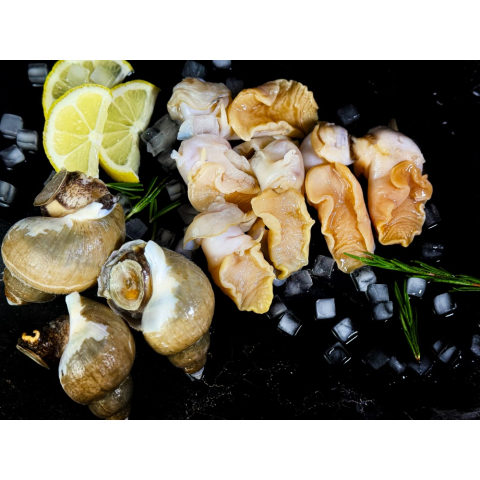 Мясо моллюска ТРУБАЧА мороженое