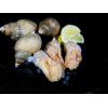 Мясо моллюска ТРУБАЧА мороженое