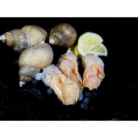 Мясо моллюска ТРУБАЧА мороженое