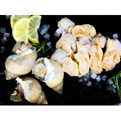 Мясо моллюска ТРУБАЧА мороженое