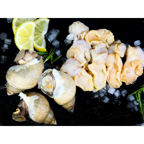 Мясо моллюска ТРУБАЧА мороженое