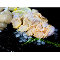 Мясо моллюска ТРУБАЧА мороженое