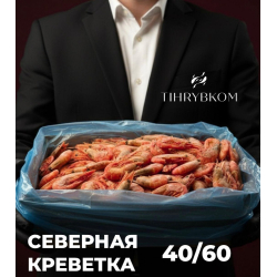 Северная креветка ГИГАНТ 40/60